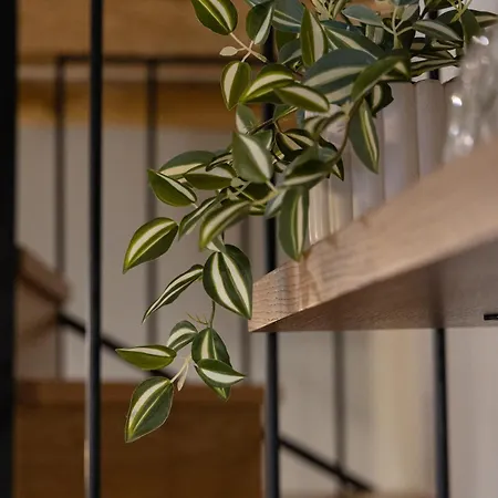 Samis Pelion Luxuryliving 公寓 *