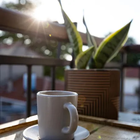 Samis Pelion Luxuryliving Portariá